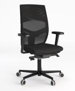 Easyback Plus