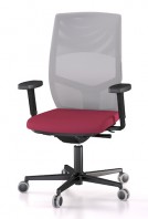 Easyback Plus
