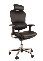 Ergohuman leather